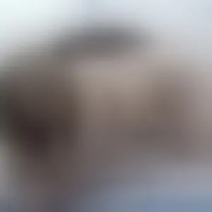 Live sex webcam photo for Gaby_martinez