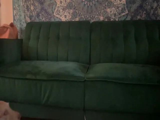 Live sex webcam photo for GeekyGretch #274027261