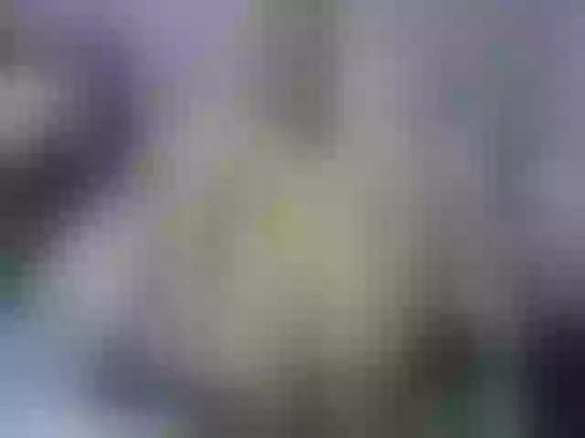 Live sex webcam photo for Girlhornyx20 #272623921