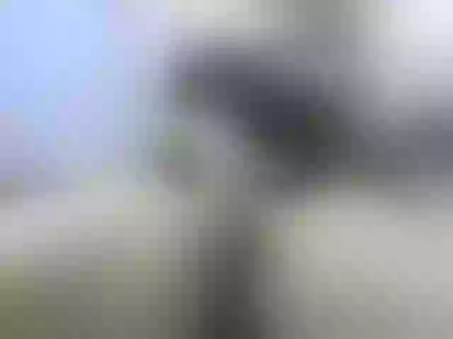 Live sex webcam photo for Girlhornyx20 #273110350