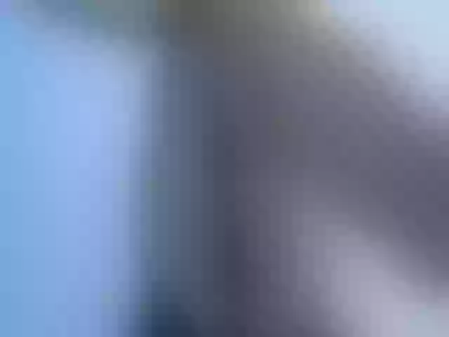 Live sex webcam photo for Girlhornyx20 #274615145