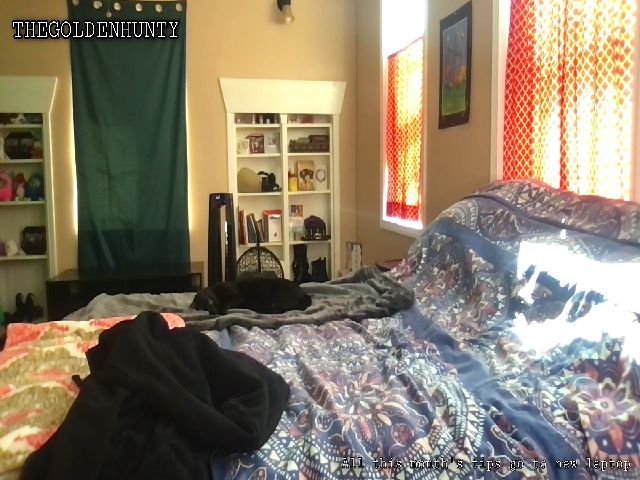 Live sex webcam photo for Goldenhunty #272503657