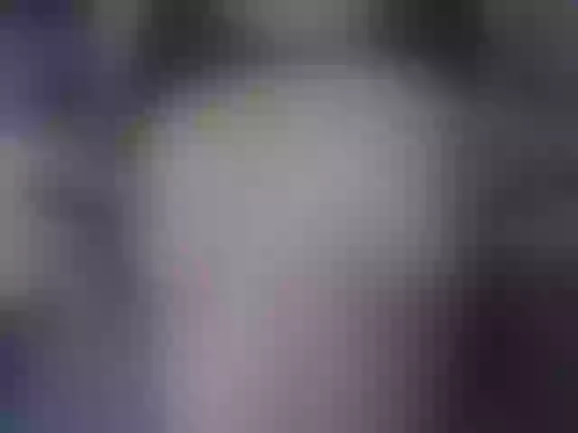 Live sex webcam photo for Grey_Evelyn #274047579
