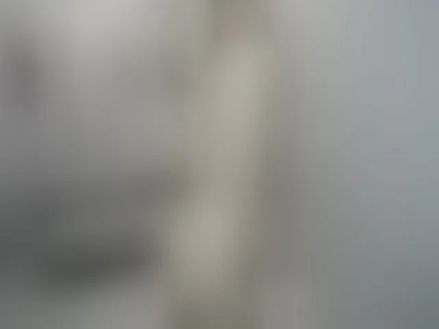 Live sex webcam photo for Greybunny #273168133