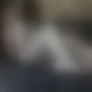 Live sex webcam photo for HaileyKurtt
