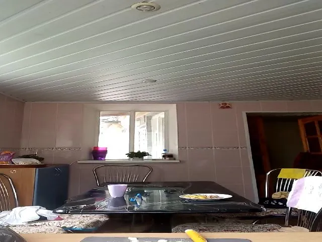 Live sex webcam photo for HanselGrettel #274733409