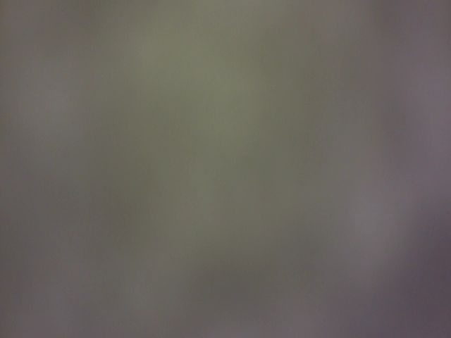 Live sex webcam photo for HarScar #272929568