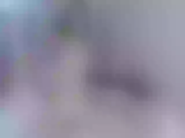 Live sex webcam photo for Heeykitty #273877432