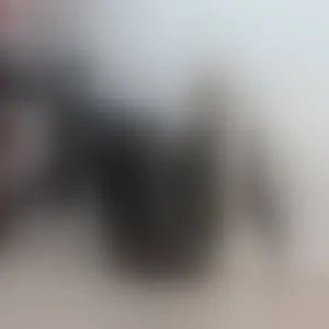 Live sex webcam photo for Heissner_sabi