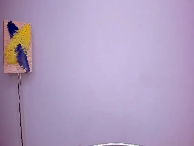 Live sex webcam photo for HelelGretta #273100559