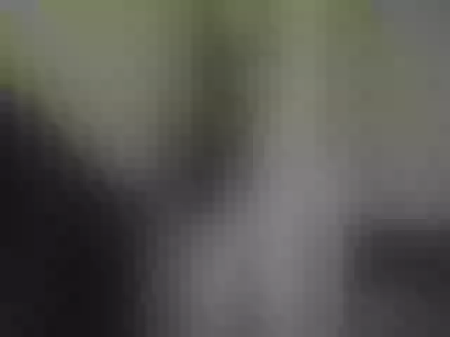 Live sex webcam photo for HeyyCandice #273365480