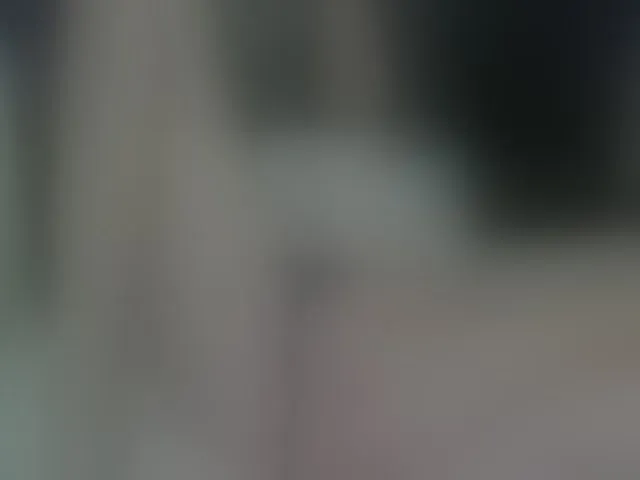 Live sex webcam photo for HeyyCandice #273456259