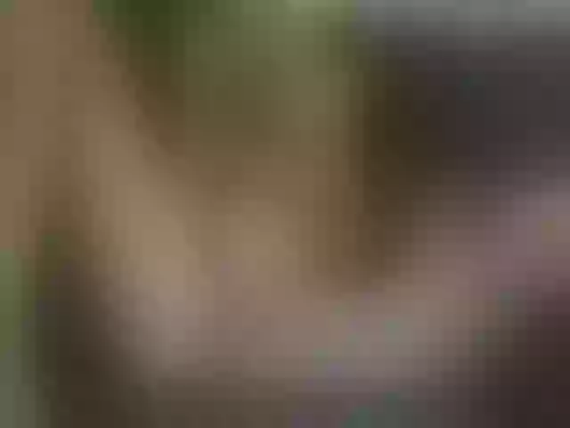 Live sex webcam photo for HeyyCandice #274074410