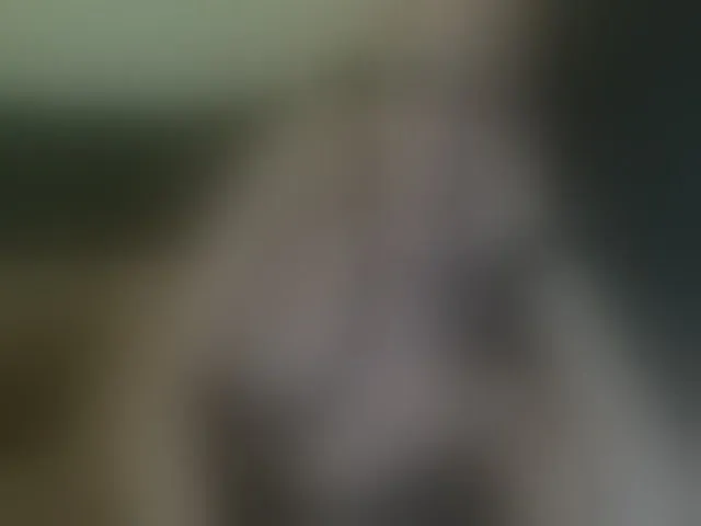 Live sex webcam photo for HeyyCandice #274520231