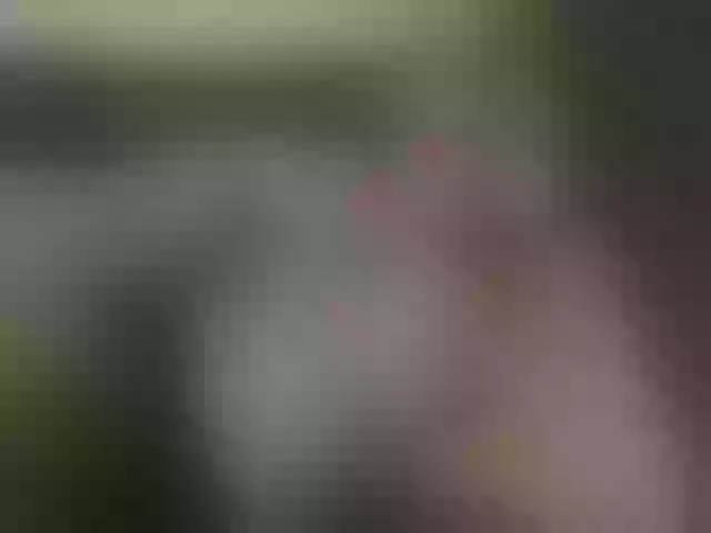 Live sex webcam photo for HeyyCandice #274618859