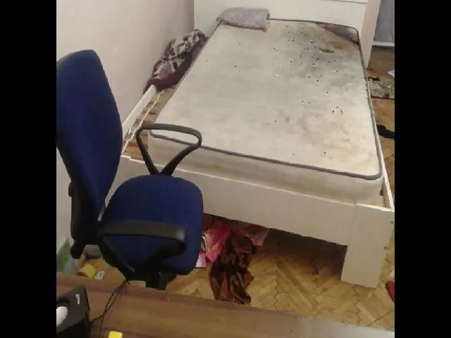 Live sex webcam photo for HiD0lly #273724943