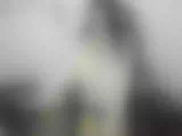 Live sex webcam photo for Holly_rosee #272695691