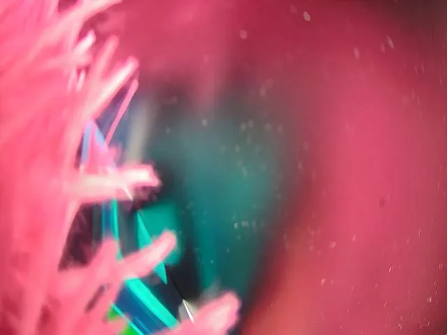 Live sex webcam photo for Hooliganx169 #272258205