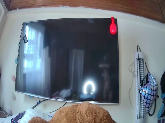 Live sex webcam photo for Hooliganx169 #274618018