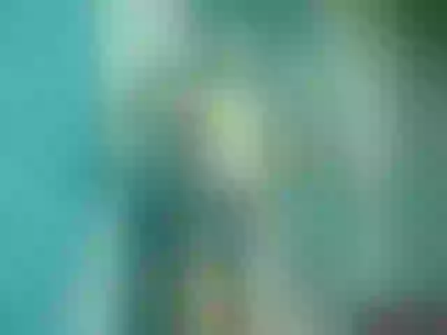Live sex webcam photo for Hott_denisse #274447226