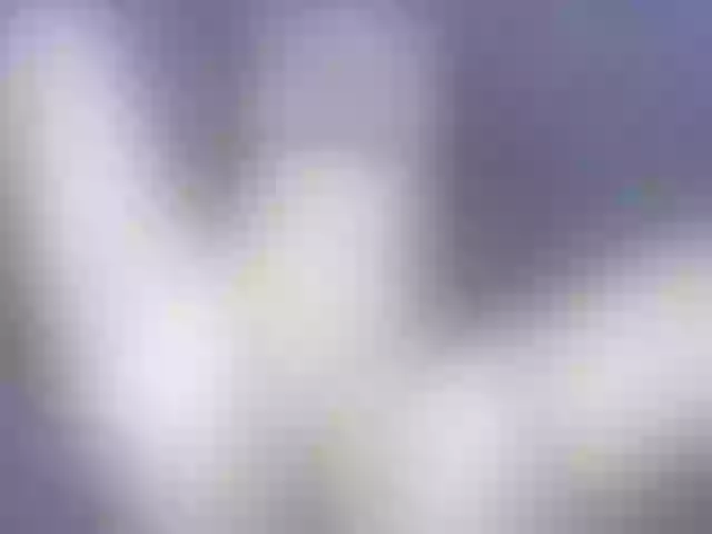 Live sex webcam photo for Hotty_anyaa #272713978