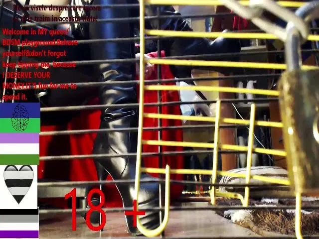 Live sex webcam photo for ImperatrizaS #271779920