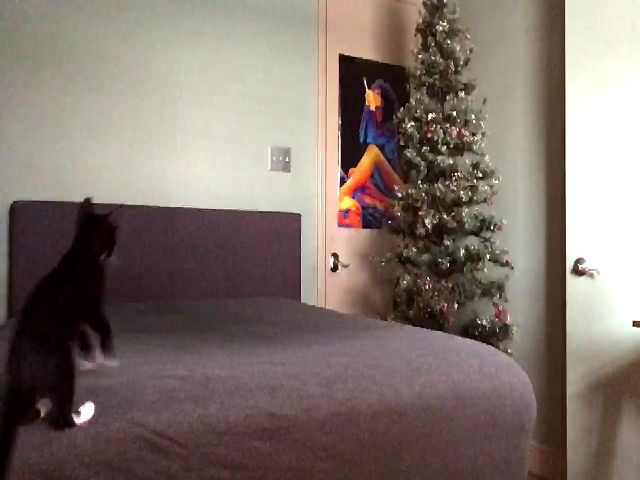 Live sex webcam photo for IsabelHunter #271766199