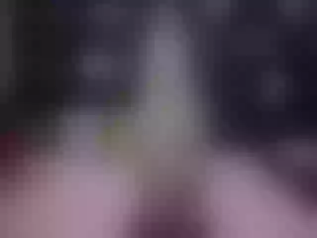 Live sex webcam photo for Itsmisslexi #273597850