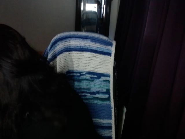 Live sex webcam photo for Jlori #272788807