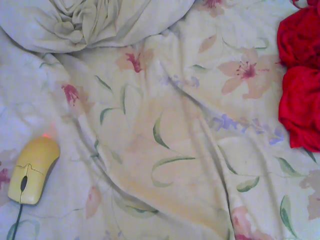 Live sex webcam photo for Jadapinkert #272863202