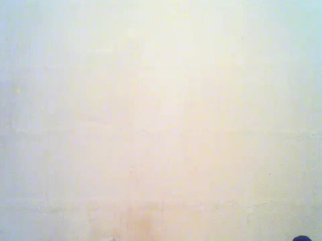 Live sex webcam photo for Jadapinkert #272872771