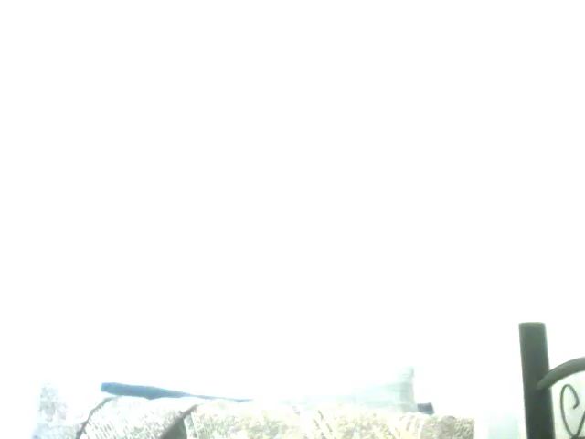 Live sex webcam photo for Jadapinkert #274135239