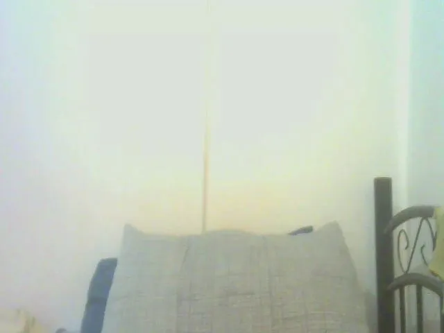 Live sex webcam photo for Jadapinkert #274390679