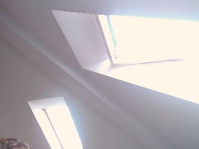 Live sex webcam photo for JassyBelleXO #273063921