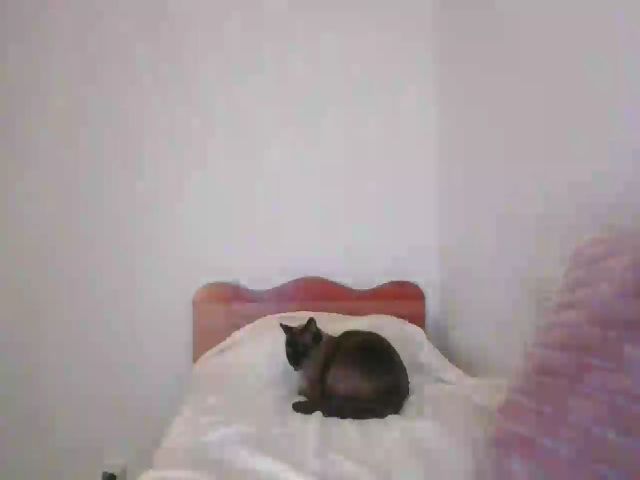 Live sex webcam photo for JassyBelleXO #273574982