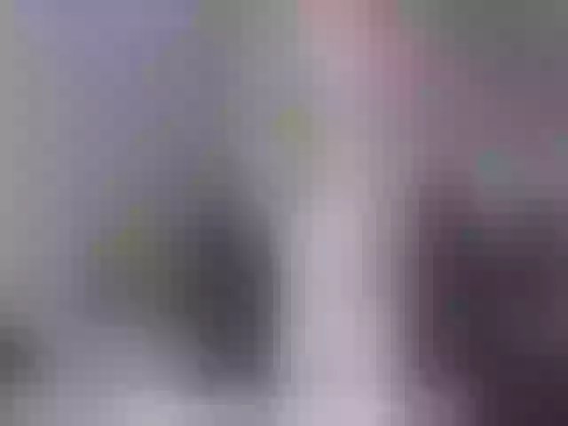 Live sex webcam photo for JaylaBliss #272693805