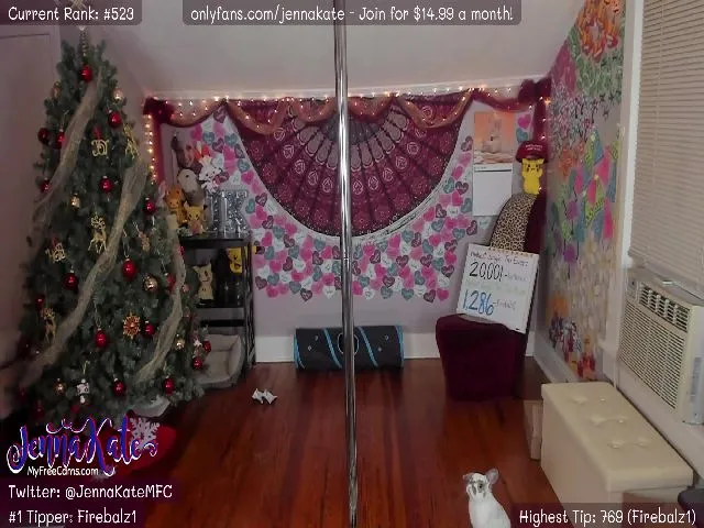 Live sex webcam photo for JennaKate #271863639
