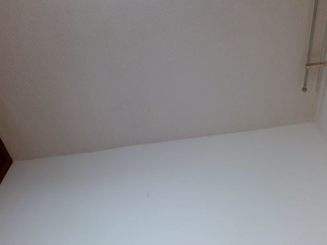 Live sex webcam photo for JiisethKitty #271992349