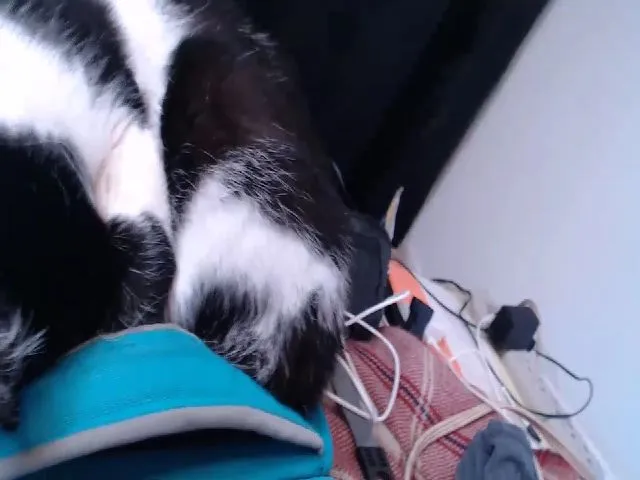 Live sex webcam photo for Joanne7 #272615224