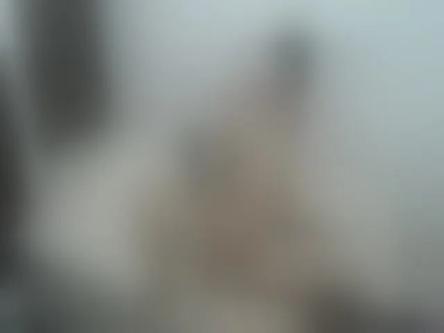 Live sex webcam photo for Jocelyn_Rosse #271925801