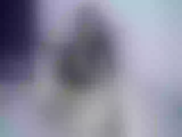 Live sex webcam photo for Julieta_curvy #274555751