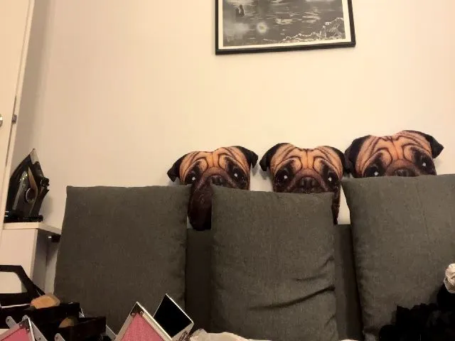 Live sex webcam photo for KaitlynRoss #273899631