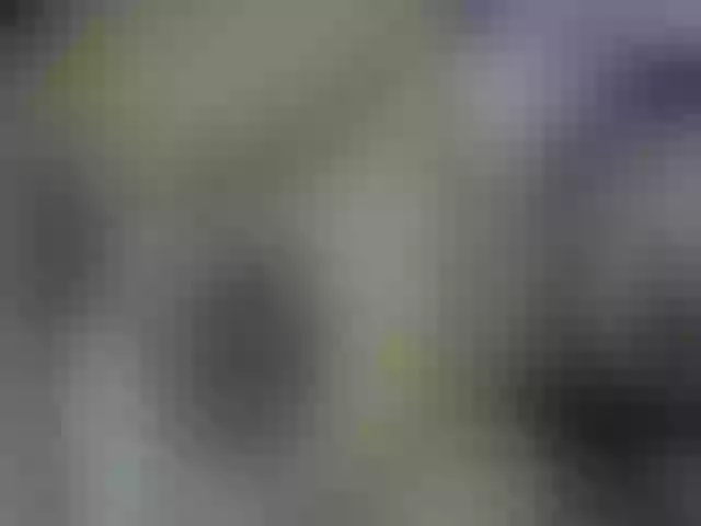 Live sex webcam photo for Karlista87 #272404887