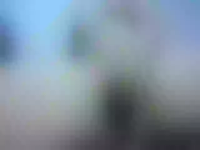 Live sex webcam photo for Karol_Nauthy #272138893
