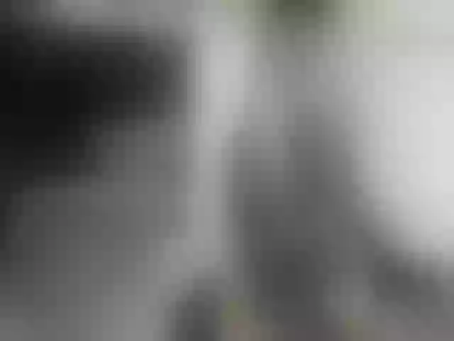 Live sex webcam photo for Karol_Page #272753080