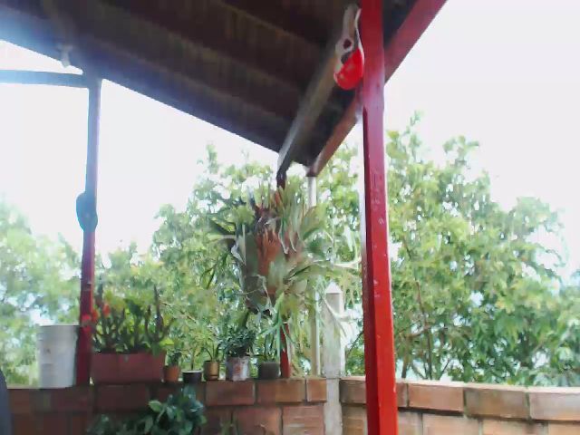 Live sex webcam photo for Karoline3 #272599505