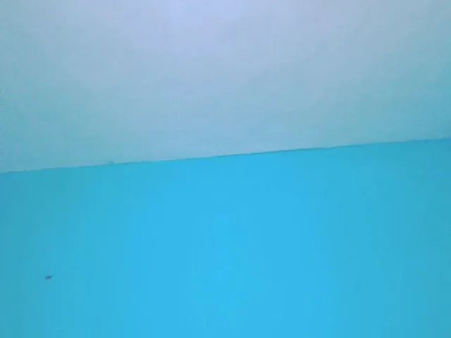 Live sex webcam photo for KatWorld #272155862