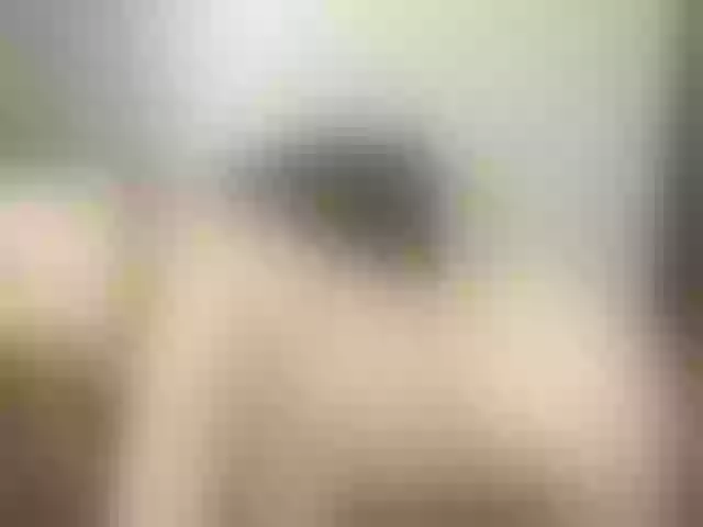 Live sex webcam photo for KataleyaSweet #272751192