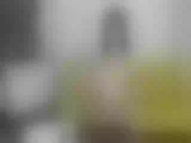 Live sex webcam photo for Kathe_Lu #274436694