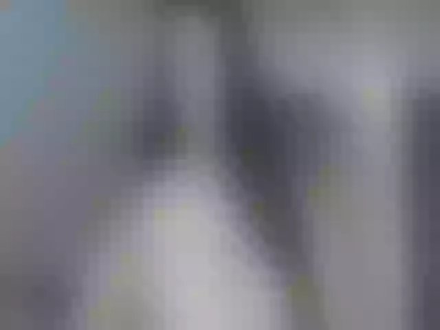 Live sex webcam photo for Katmbarn #272125951